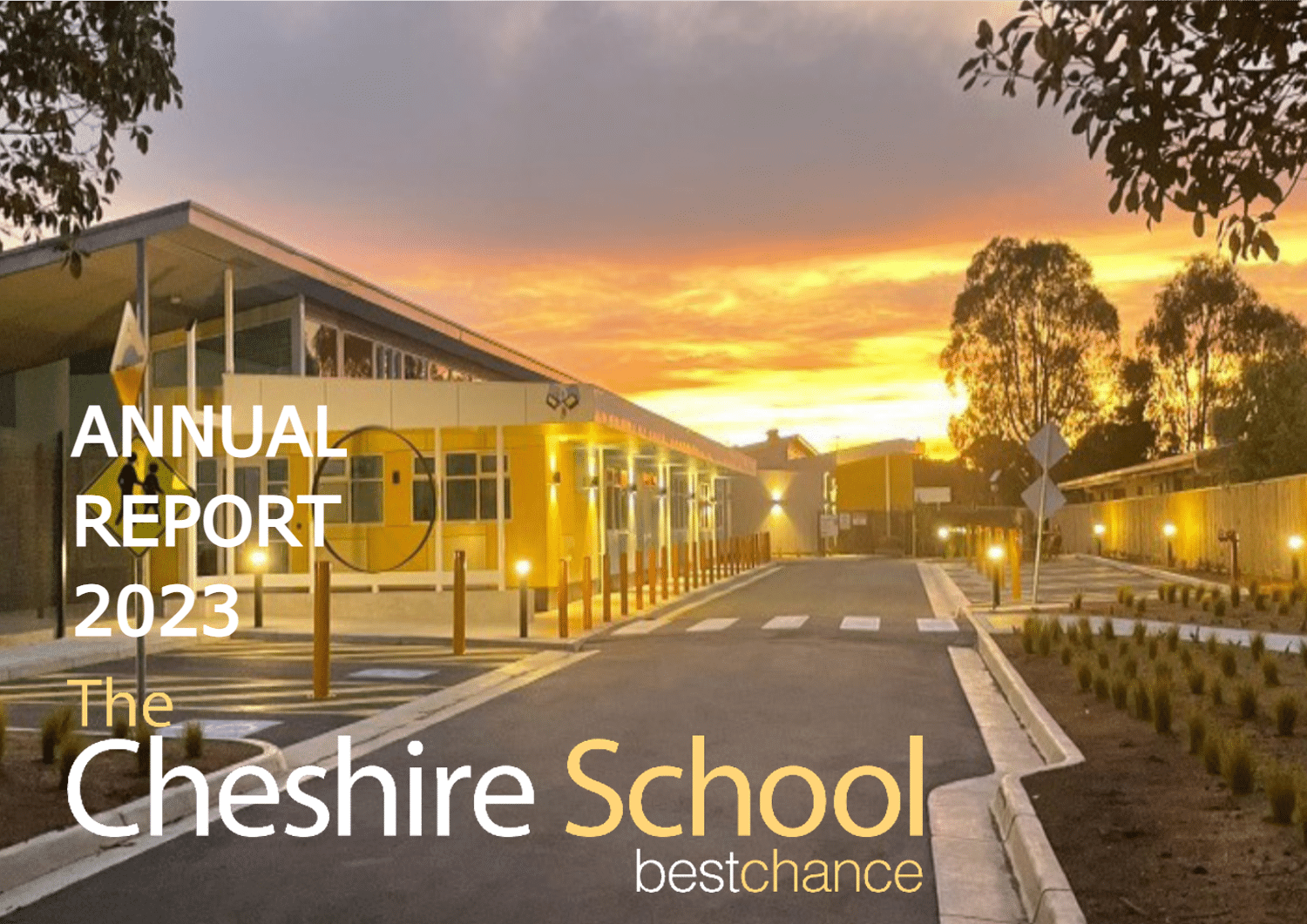 NEW - The Cheshire School logo